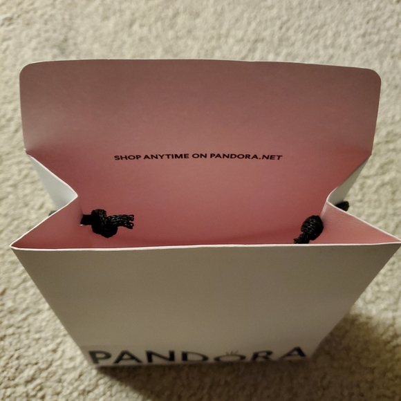 Pandora gift bag - Picture 4 of 5